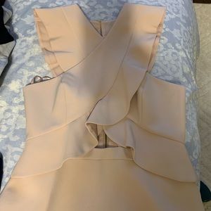 BCBG Max Azria Blush Top!